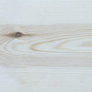 pin-sylvestre-veinage pin-sylvestre-veinage