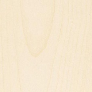 sycomore-veinage sycomore