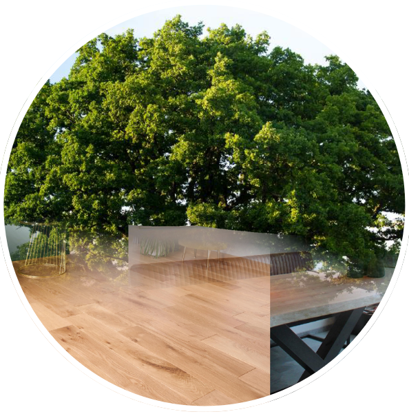 Bois chene menuiserie